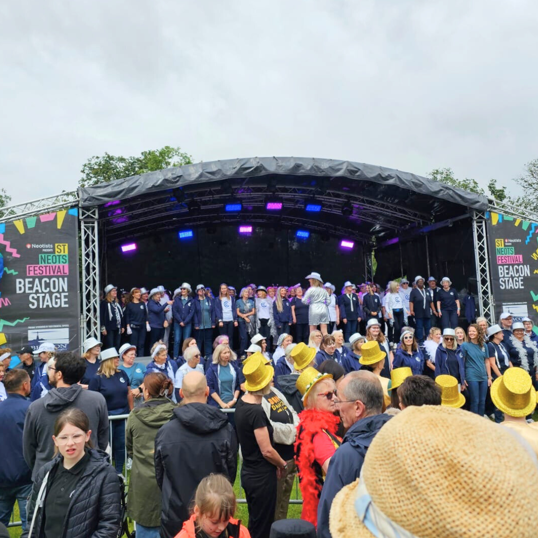 Arts and community spirit on show at the St Neots Festival